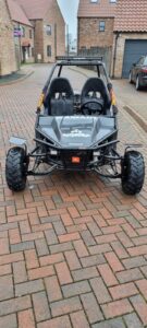 BUGGY